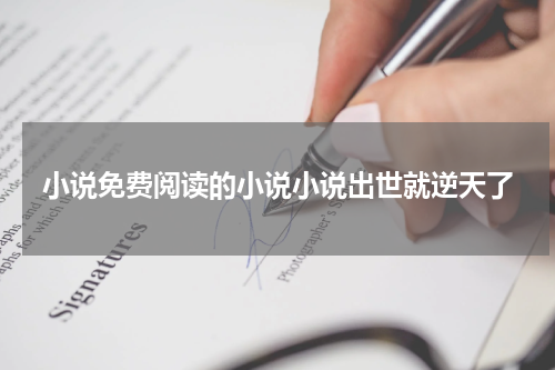 小说免费阅读的小说小说出世就逆天了