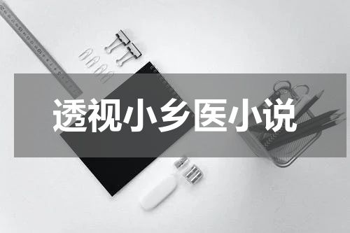 透视小乡医小说