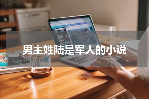 男主姓陆是军人的小说