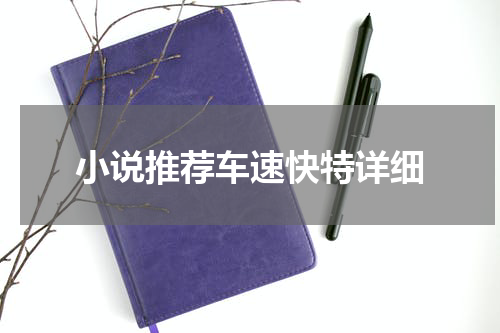 小说推荐车速快特详细