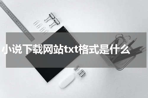 小说下载网站txt格式是什么