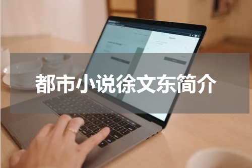 都市小说徐文东简介