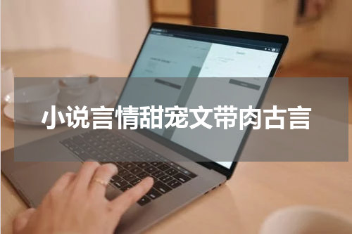 小说言情甜宠文带肉古言