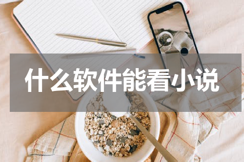 什么软件能看小说