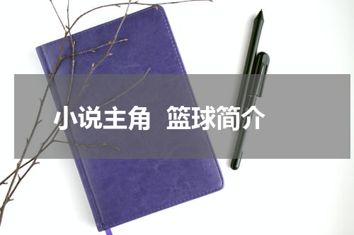 小说主角  篮球简介