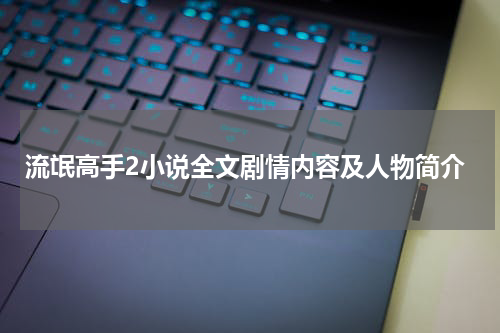 流氓高手2小说全文剧情内容及人物简介