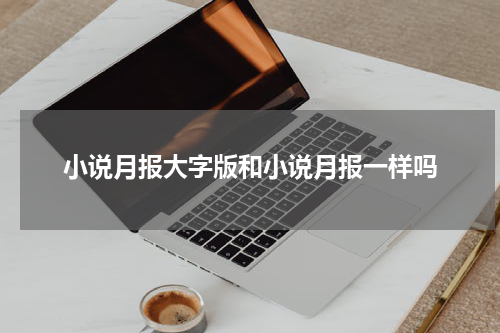 小说月报大字版和小说月报一样吗