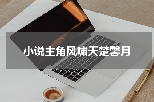 小说主角风啸天楚馨月