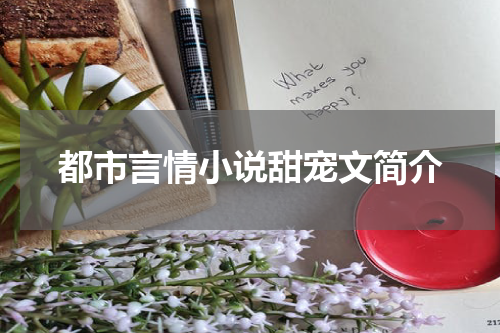 都市言情小说甜宠文简介
