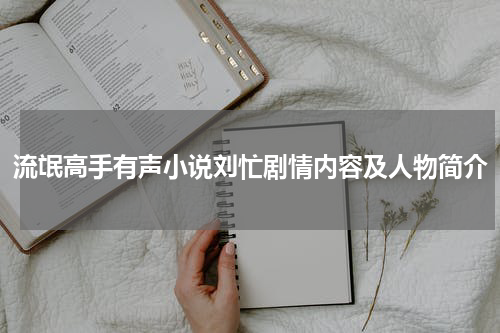 流氓高手有声小说刘忙剧情内容及人物简介