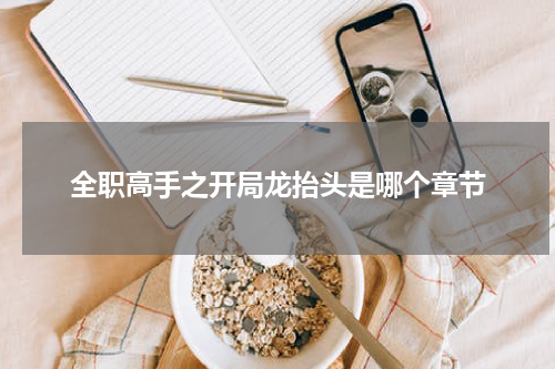 全职高手之开局龙抬头是哪个章节