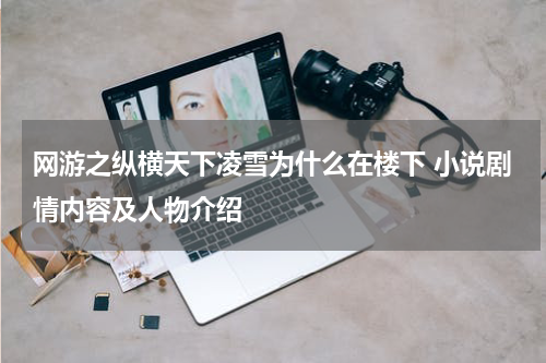 网游之纵横天下凌雪为什么在楼下 小说剧情内容及人物介绍