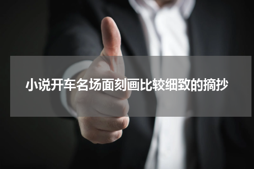 小说开车名场面刻画比较细致的摘抄