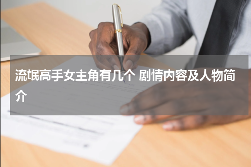 流氓高手女主角有几个 剧情内容及人物简介