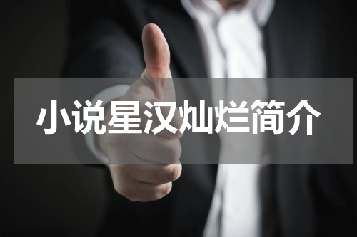 小说星汉灿烂简介