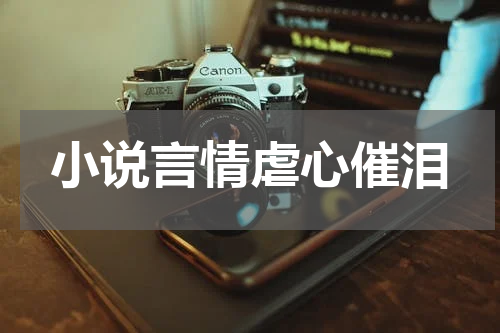 小说言情虐心催泪
