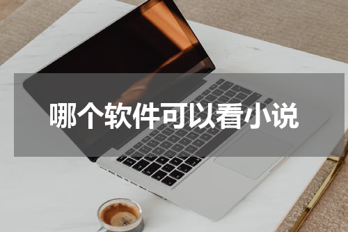 哪个软件可以看小说