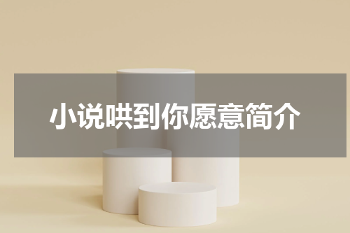 小说哄到你愿意简介
