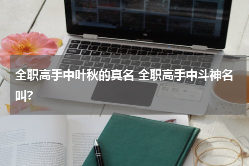 全职高手中叶秋的真名 全职高手中斗神名叫?