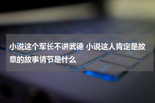 小说这个军长不讲武德 小说这人肯定是故意的故事情节是什么