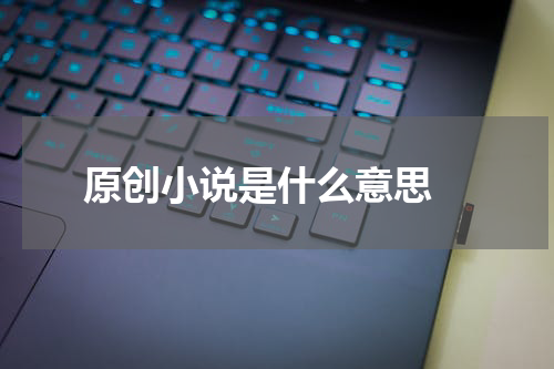 原创小说是什么意思 