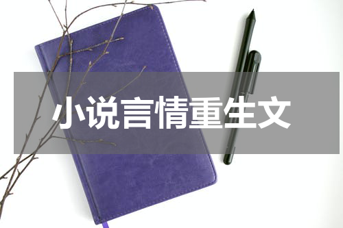 小说言情重生文