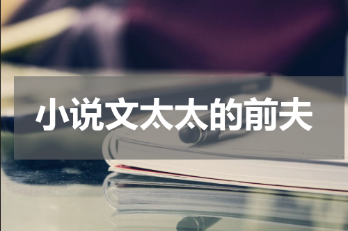 小说文太太的前夫