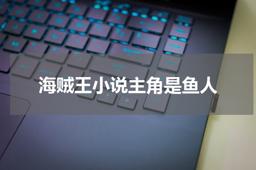 海贼王小说主角是鱼人