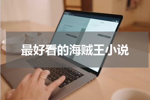 最好看的海贼王小说