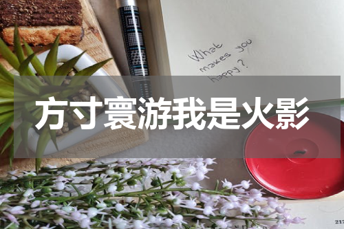 方寸寰游我是火影