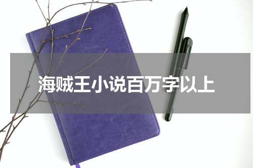 海贼王小说百万字以上