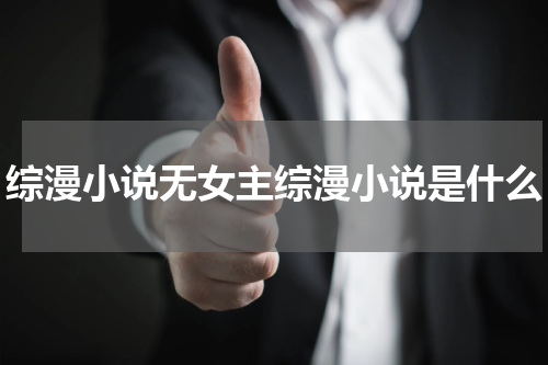 综漫小说无女主综漫小说是什么