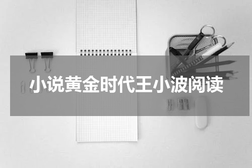 小说黄金时代王小波阅读