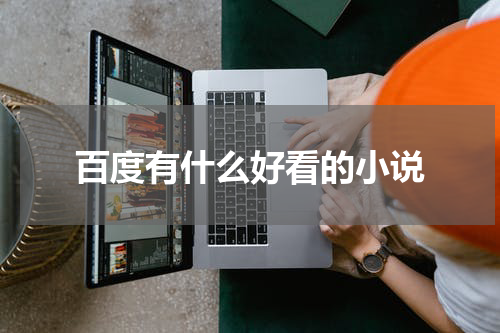 百度有什么好看的小说