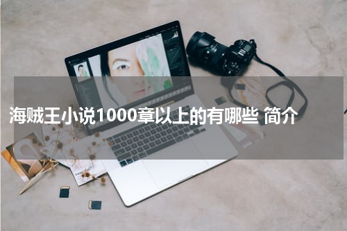 海贼王小说1000章以上的有哪些 简介
