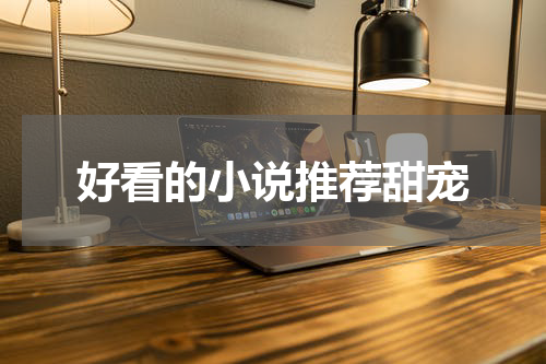 好看的小说推荐甜宠