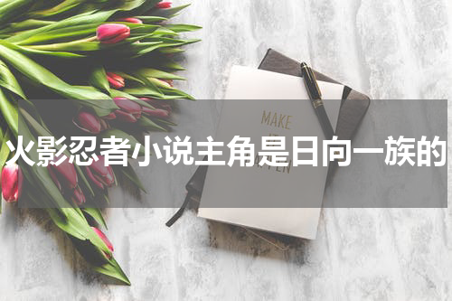 火影忍者小说主角是日向一族的