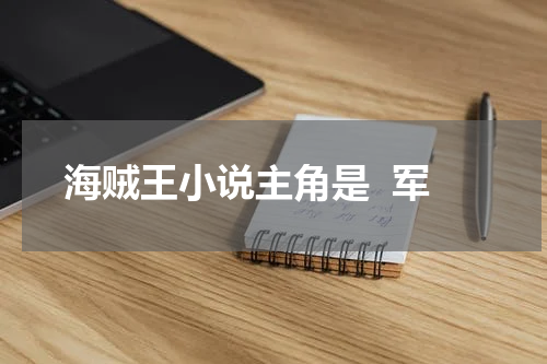 海贼王小说主角是  军