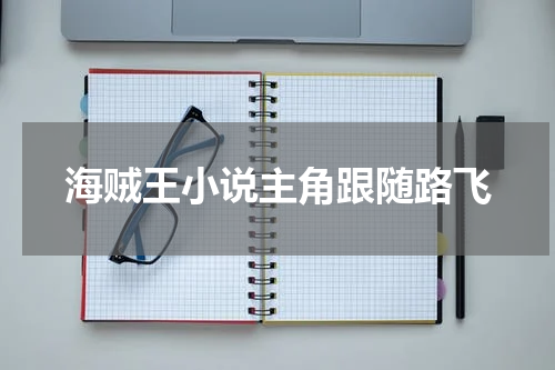 海贼王小说主角跟随路飞