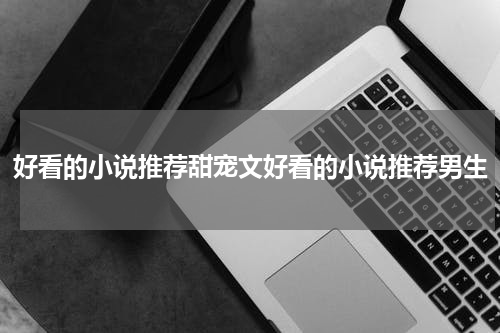 好看的小说推荐甜宠文好看的小说推荐男生