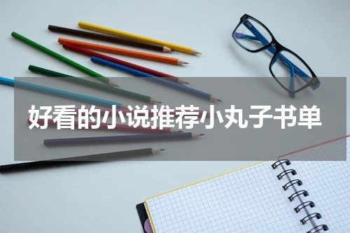 好看的小说推荐小丸子书单