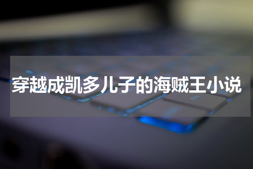穿越成凯多儿子的海贼王小说