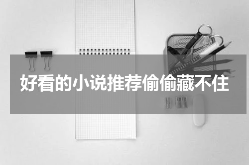好看的小说推荐偷偷藏不住