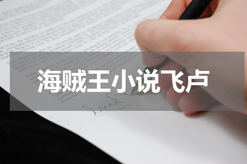海贼王小说飞卢