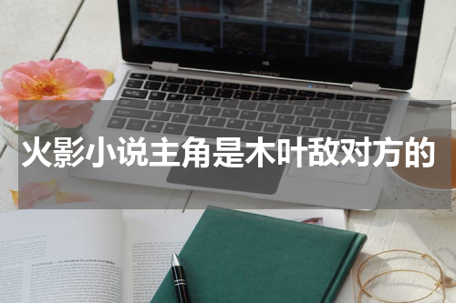 火影小说主角是木叶敌对方的
