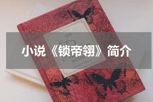 小说《锁帝翎》简介