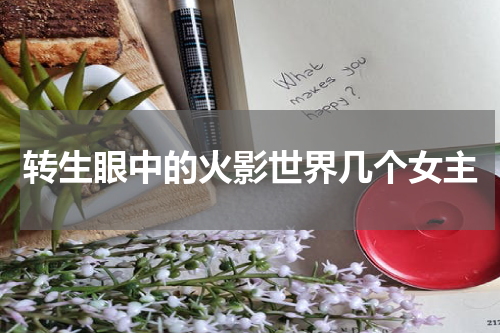转生眼中的火影世界几个女主