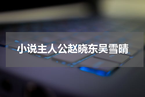 小说主人公赵晓东吴雪晴