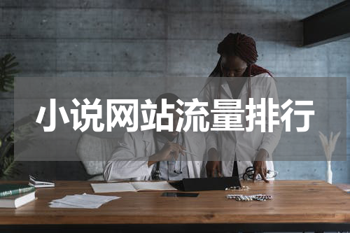 小说网站流量排行