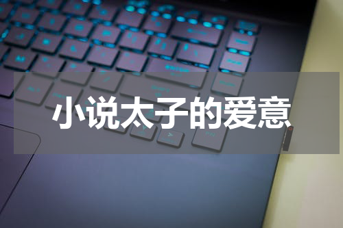 小说太子的爱意